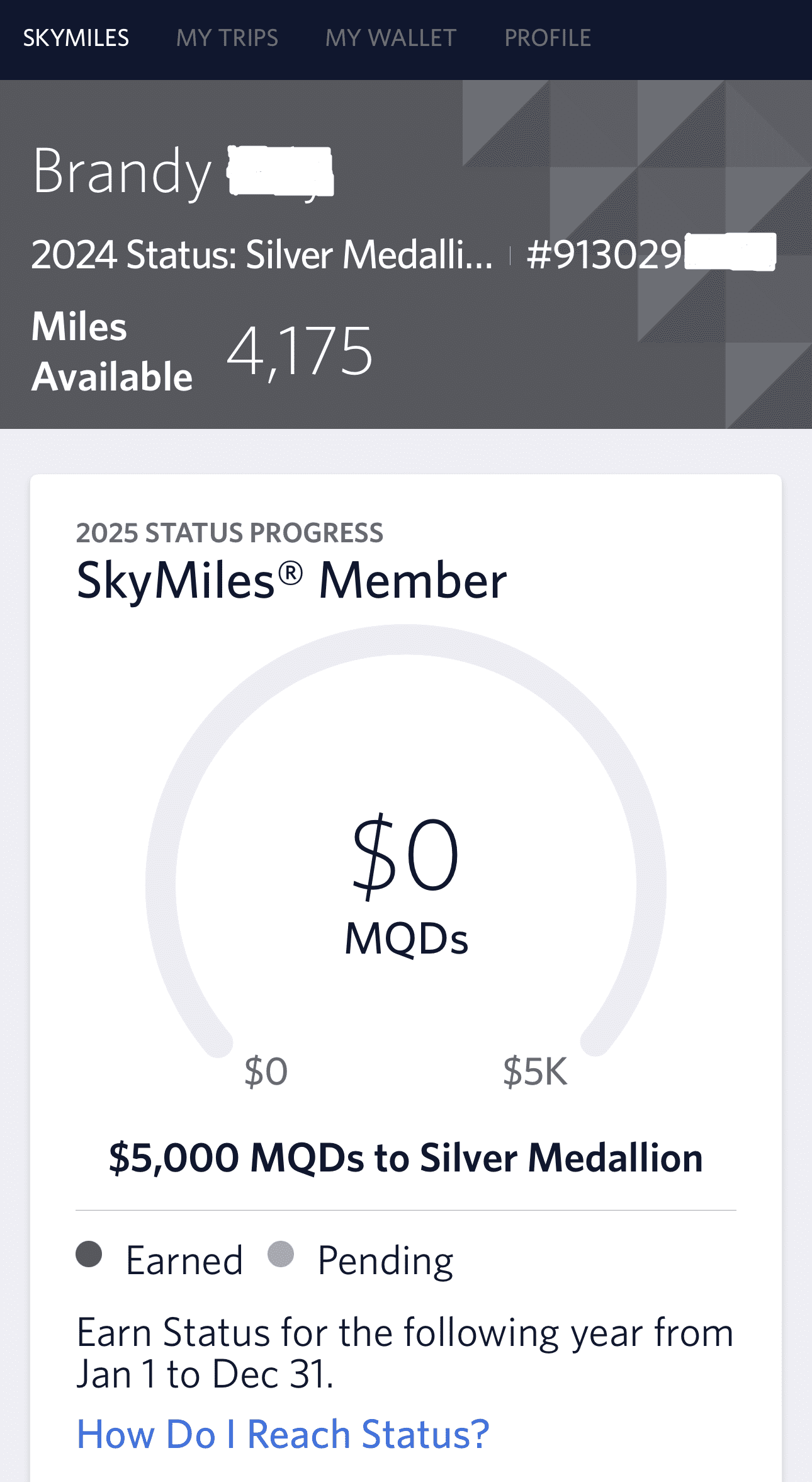Delta SkyMiles progress towards Elite Status